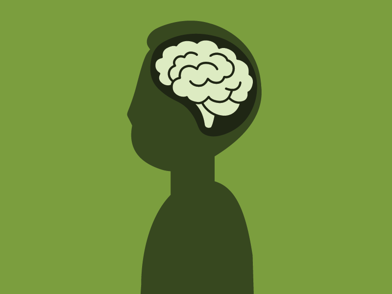 KTP Website thumbnail-without label (800px x 600px)