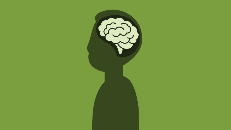 KTP Website thumbnail-without label (800px x 450px)