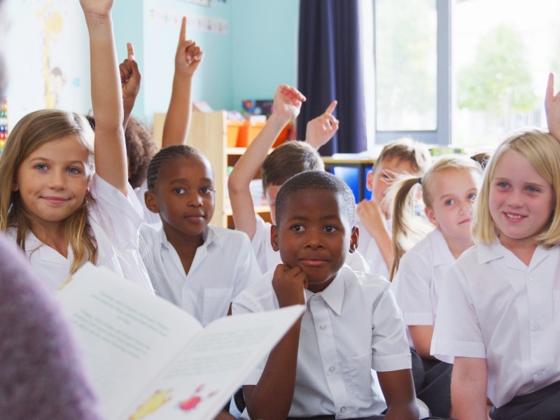 Pupil survey guidance page