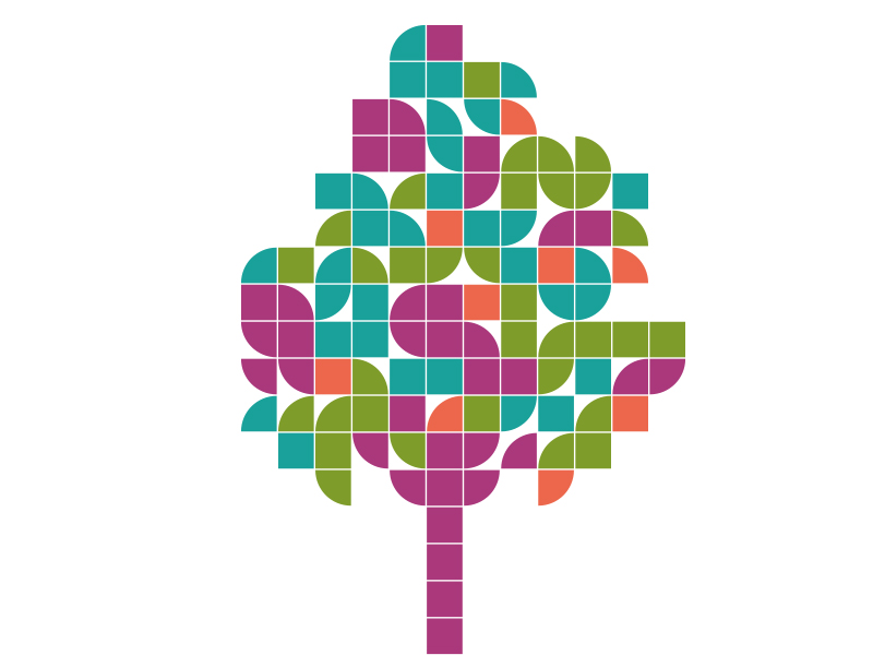 Programme of Study 2026 website image