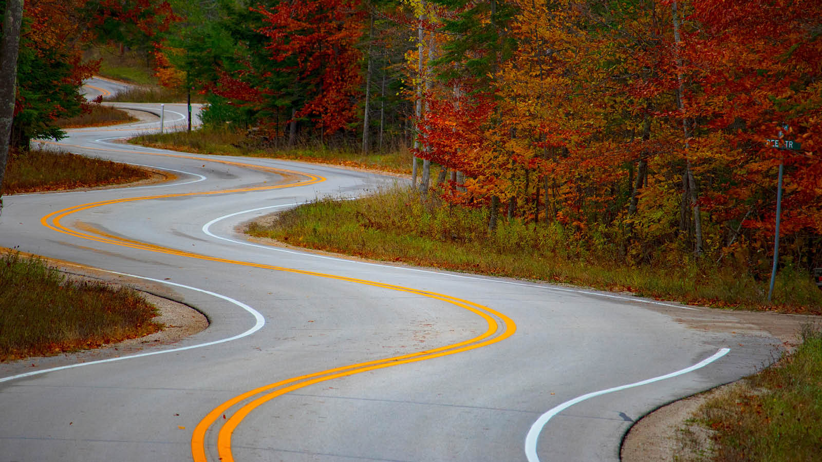 Roadmap to statutory RSE