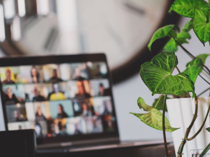 A laptop is in the background and out of focus, and the screen shows a video call between 20 people. A plant is in the foreground.